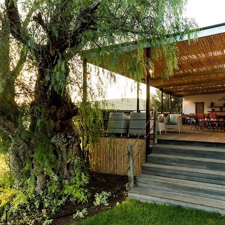 Swartberg Country Manor Guest House Matjiesrivier  Ngoại thất bức ảnh