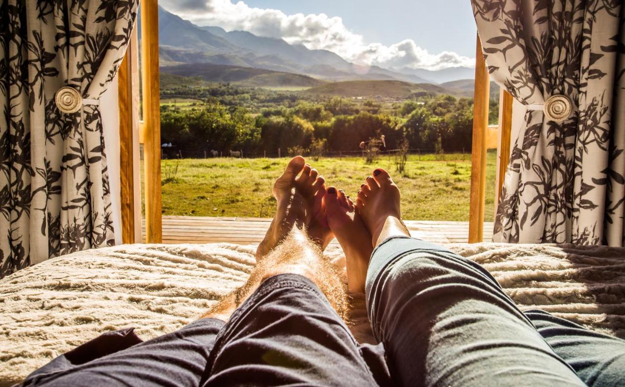 Swartberg Country Manor Guest House Matjiesrivier  Ngoại thất bức ảnh