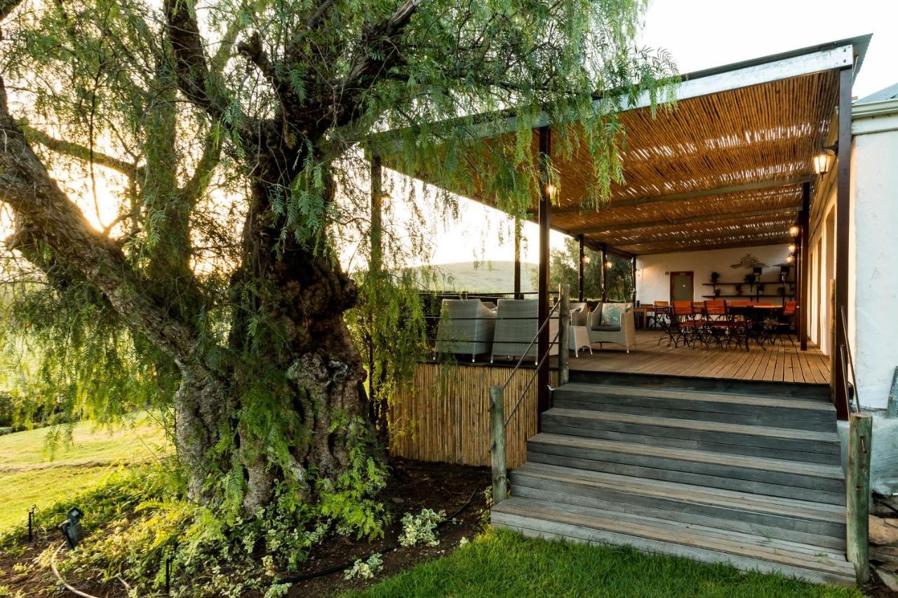 Swartberg Country Manor Guest House Matjiesrivier  Ngoại thất bức ảnh