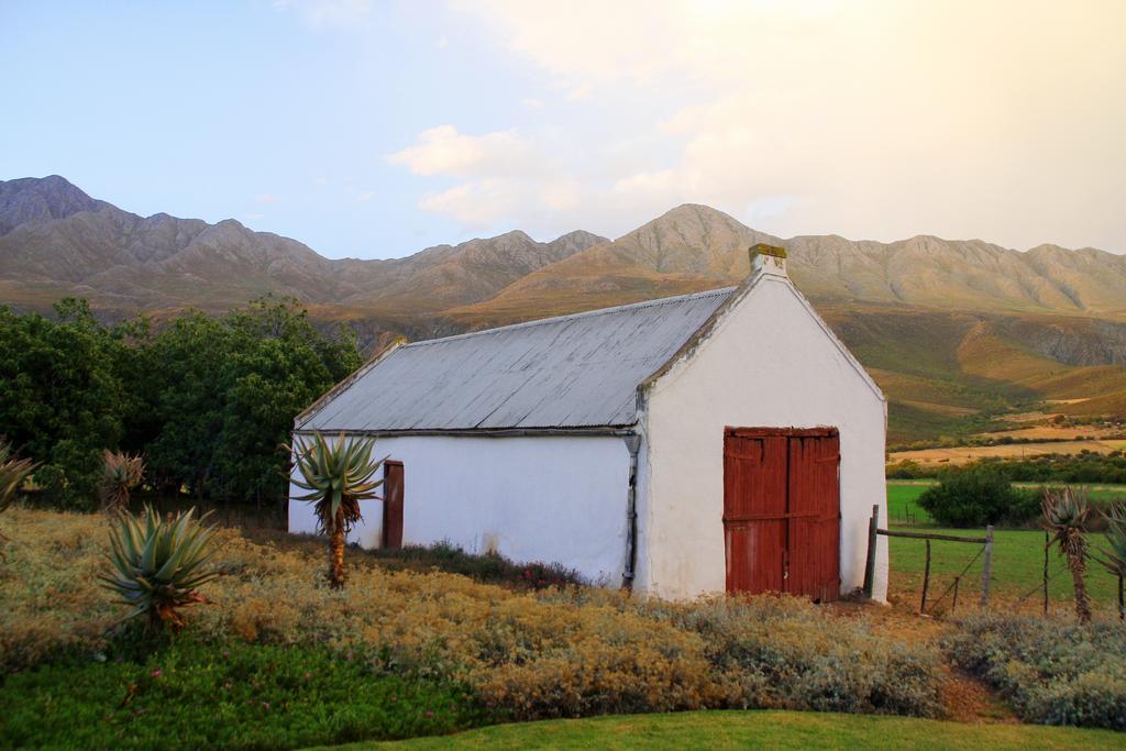 Swartberg Country Manor Guest House Matjiesrivier  Ngoại thất bức ảnh