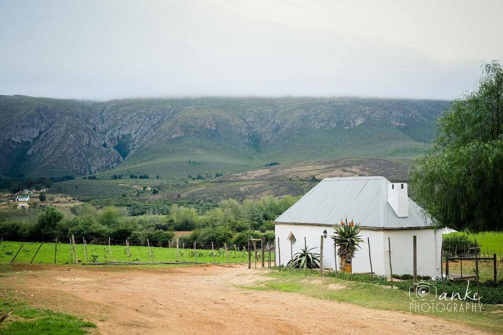 Swartberg Country Manor Guest House Matjiesrivier  Ngoại thất bức ảnh
