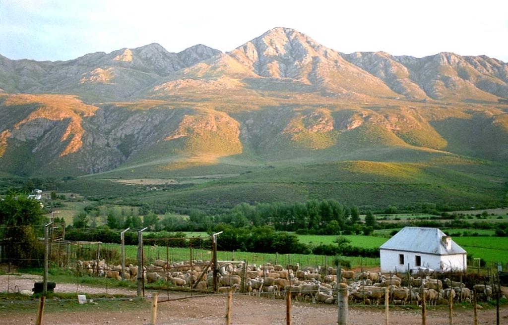 Swartberg Country Manor Guest House Matjiesrivier  Ngoại thất bức ảnh