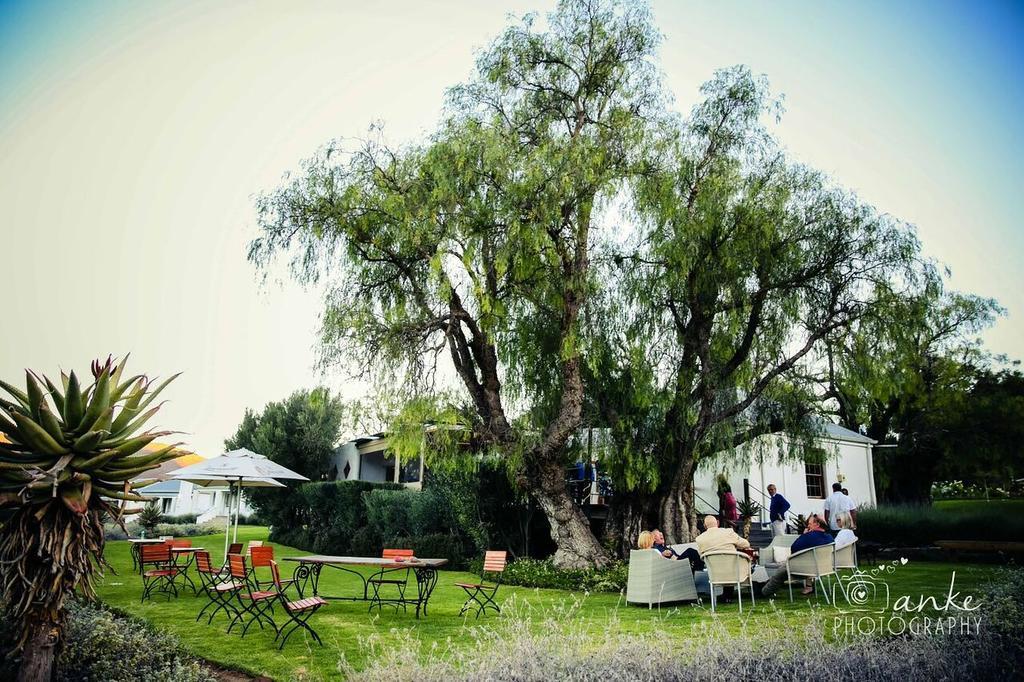 Swartberg Country Manor Guest House Matjiesrivier  Ngoại thất bức ảnh